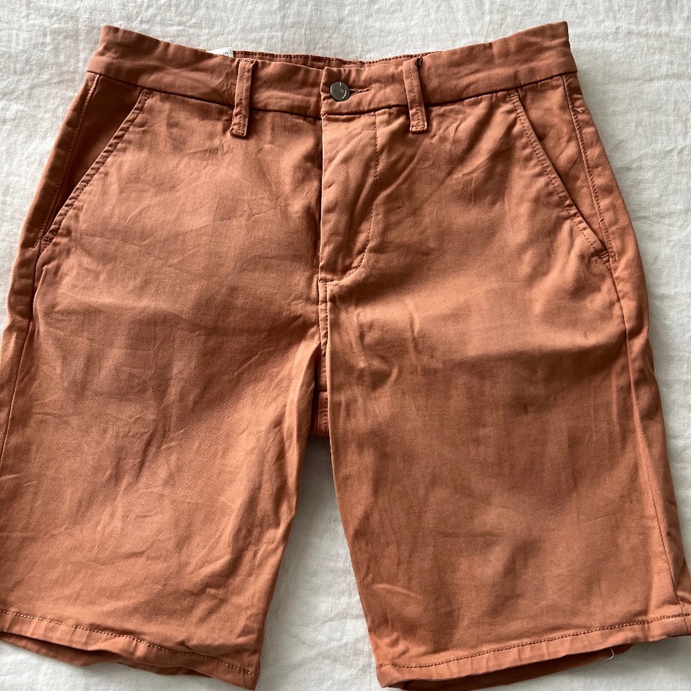 Joes Jeans Brixton Shorts